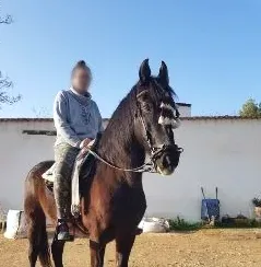 Ramona, 31